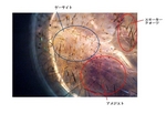 sp2‐04.jpg