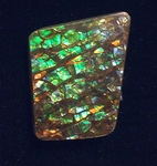 mi02.jpg